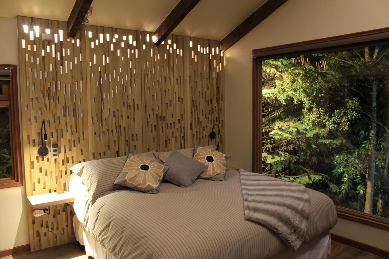 Dreamwoods Villa Puerto Varas Bagian luar foto